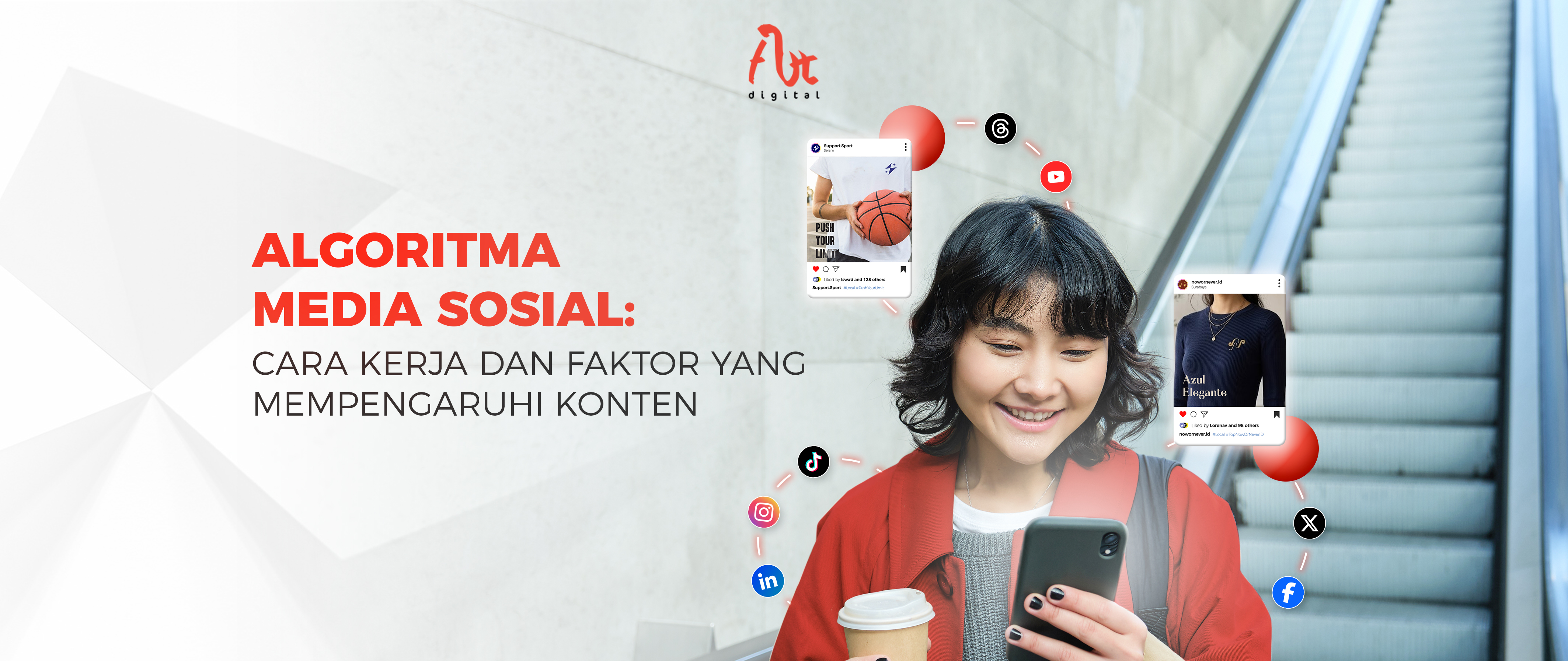 Article Image - 